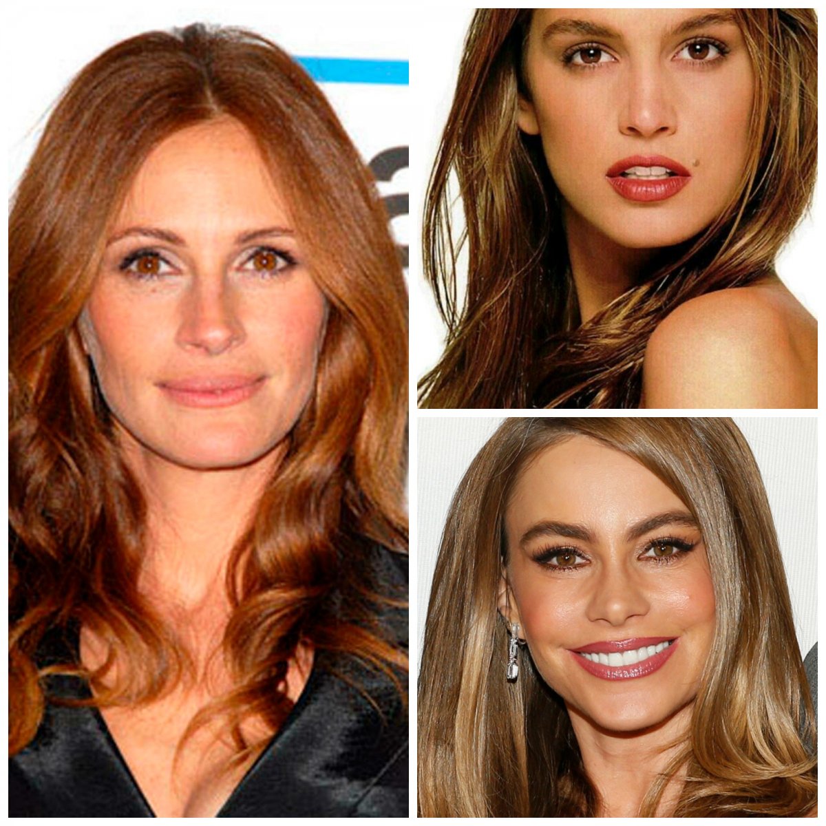 Цвет волос для цветотипа