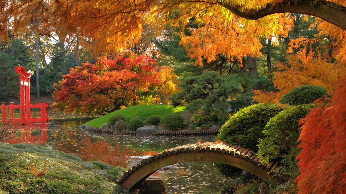 Осенний мост