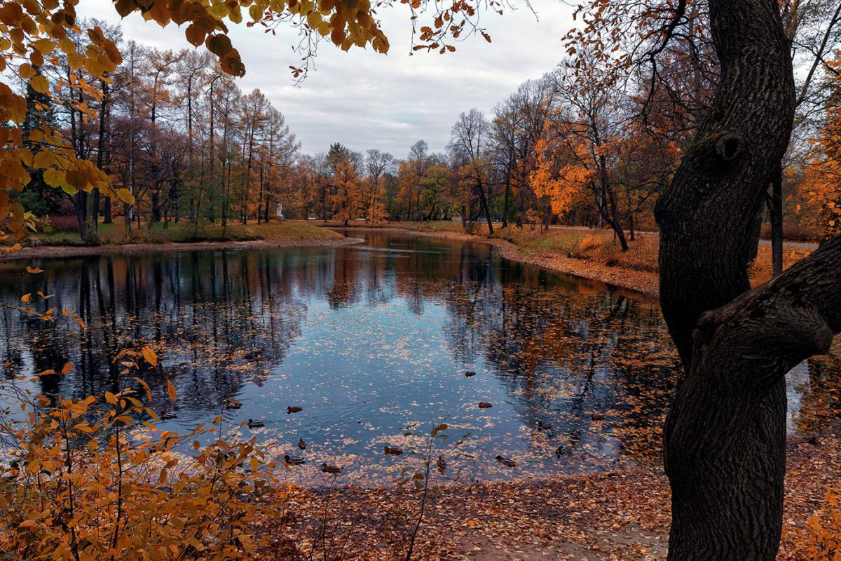 Парк осенью фото