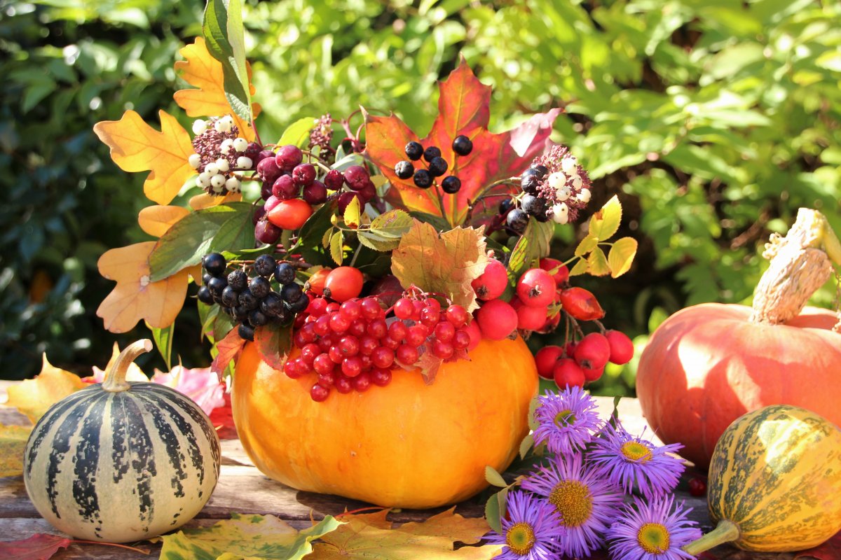 Осенний сад ягоды