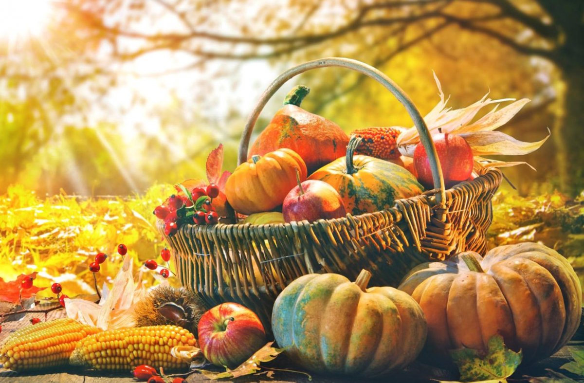 Осень урожай