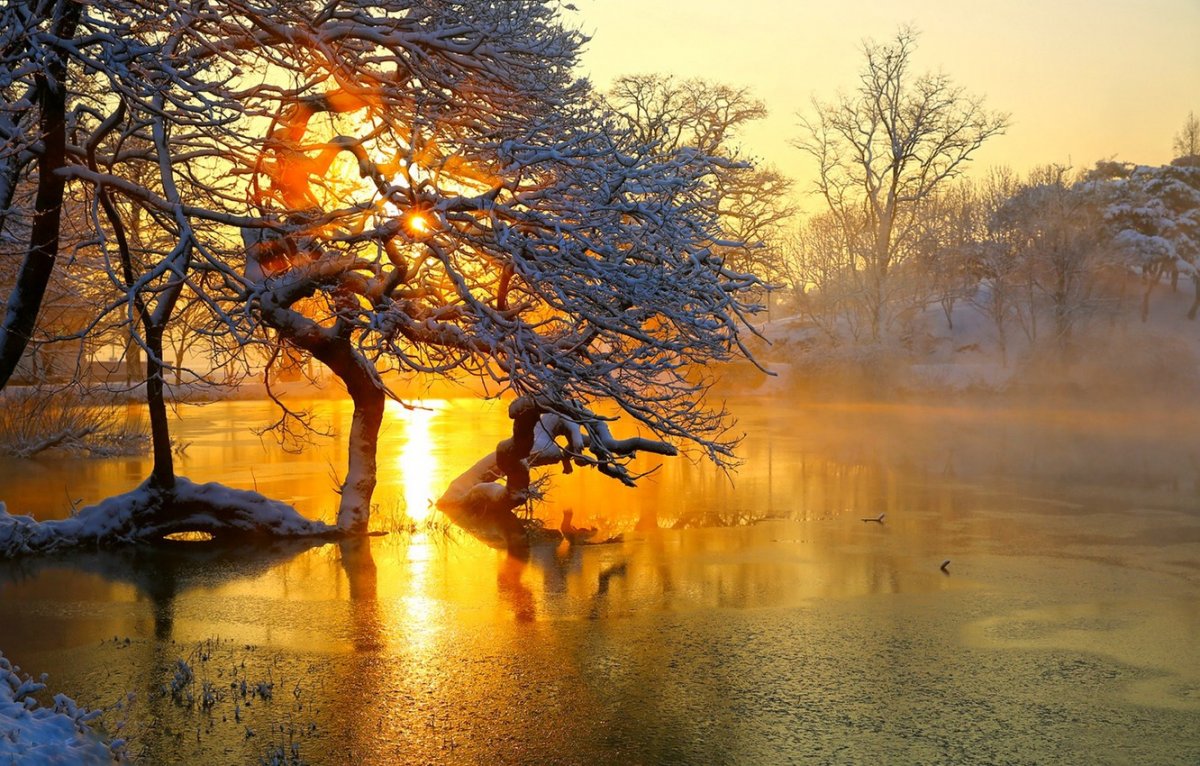 Красивые ноябрьские пейзажи