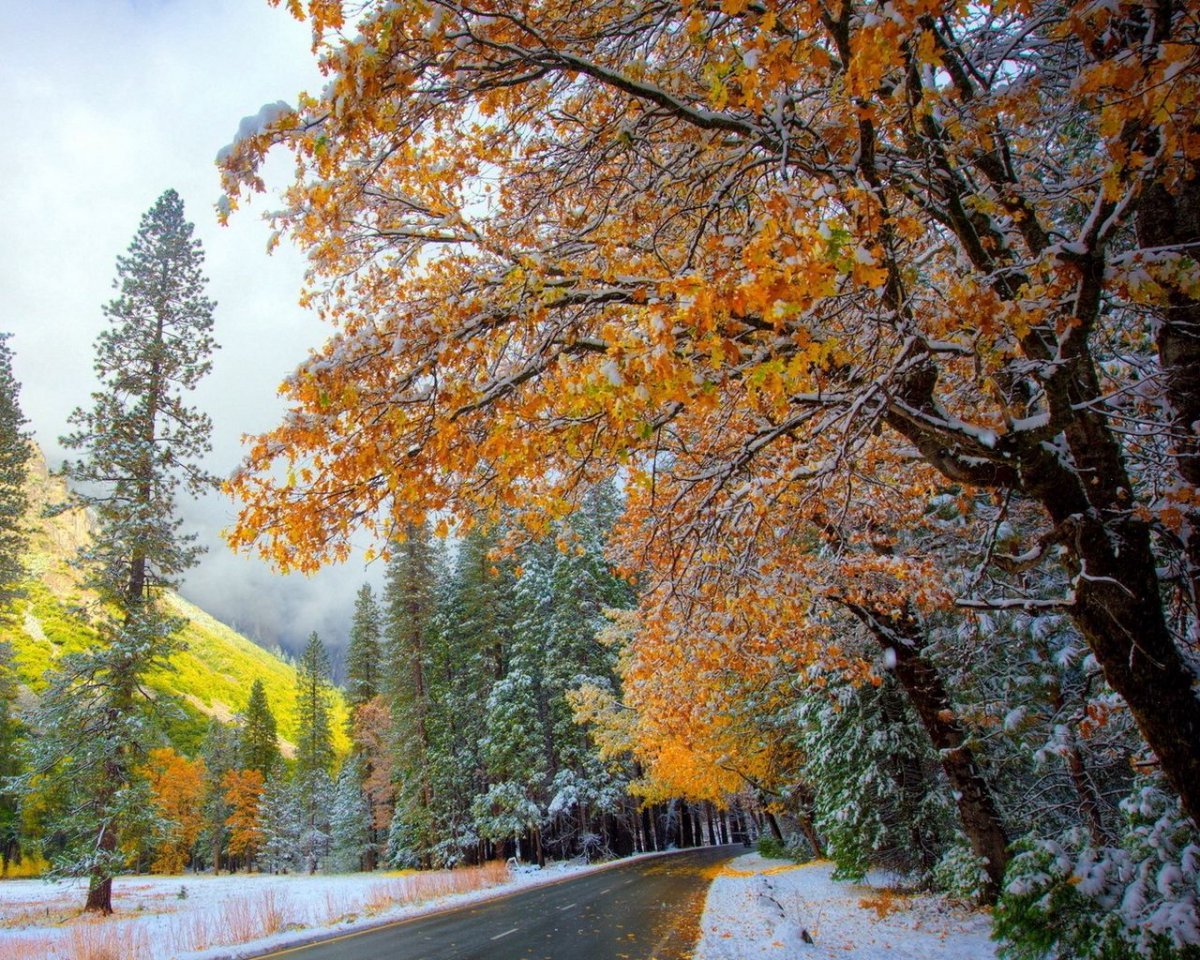 Поздняя осень