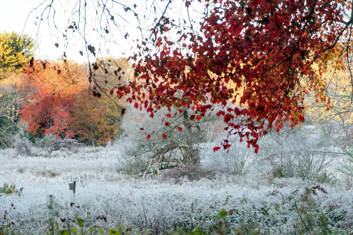 Осенний ноябрь