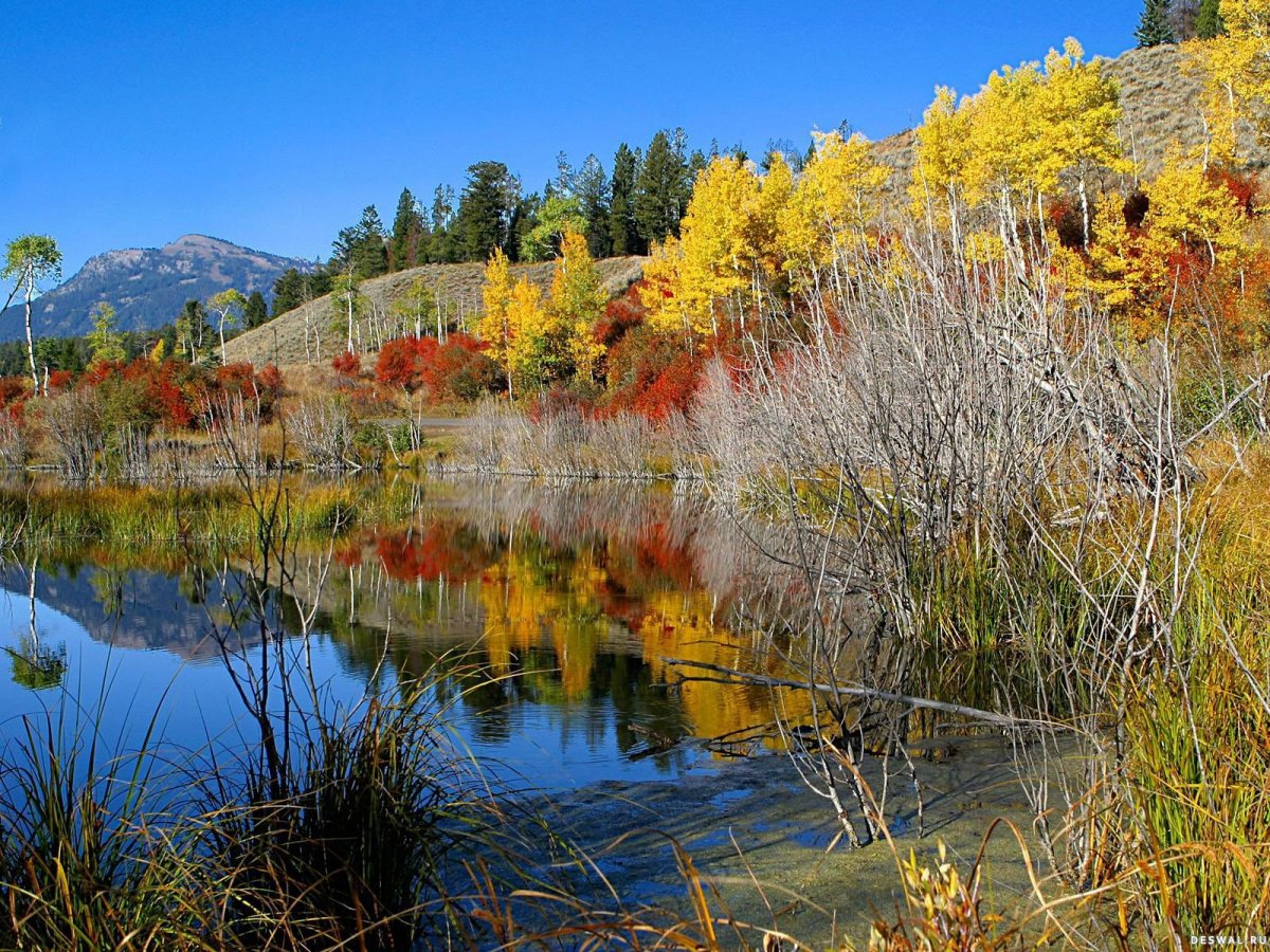 Глубокая осень на рабочий стол