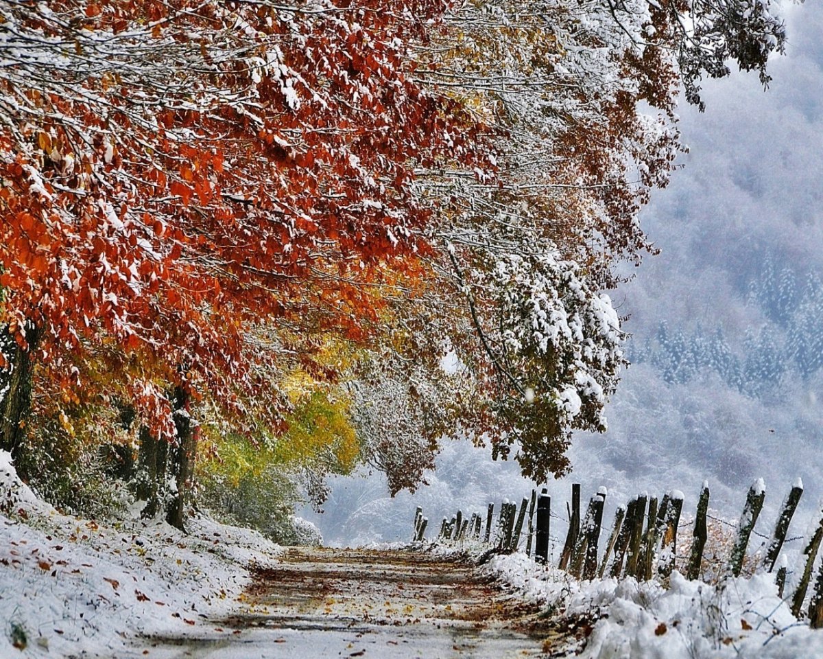 Пейзаж ранняя зима