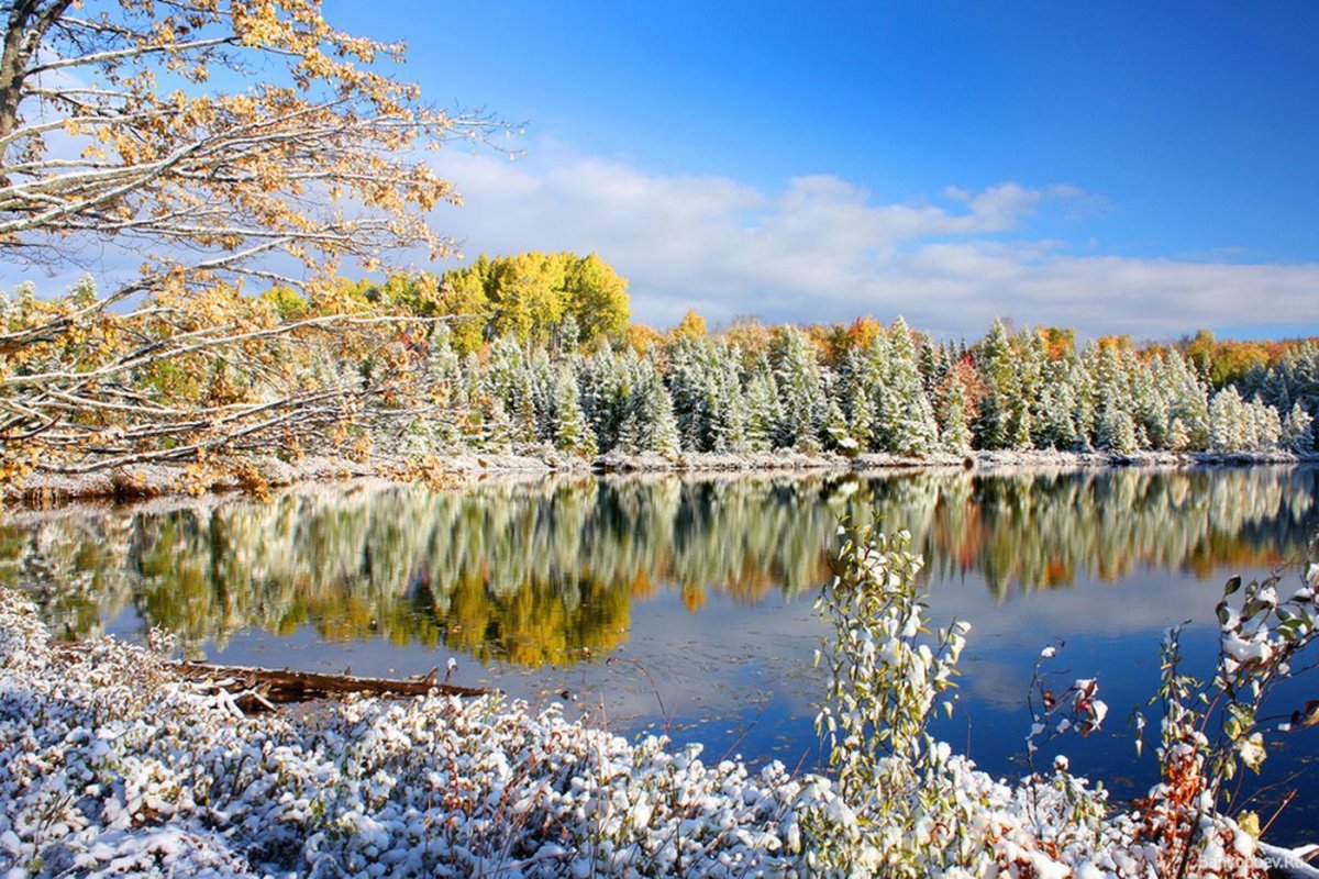 Ноябрь природа