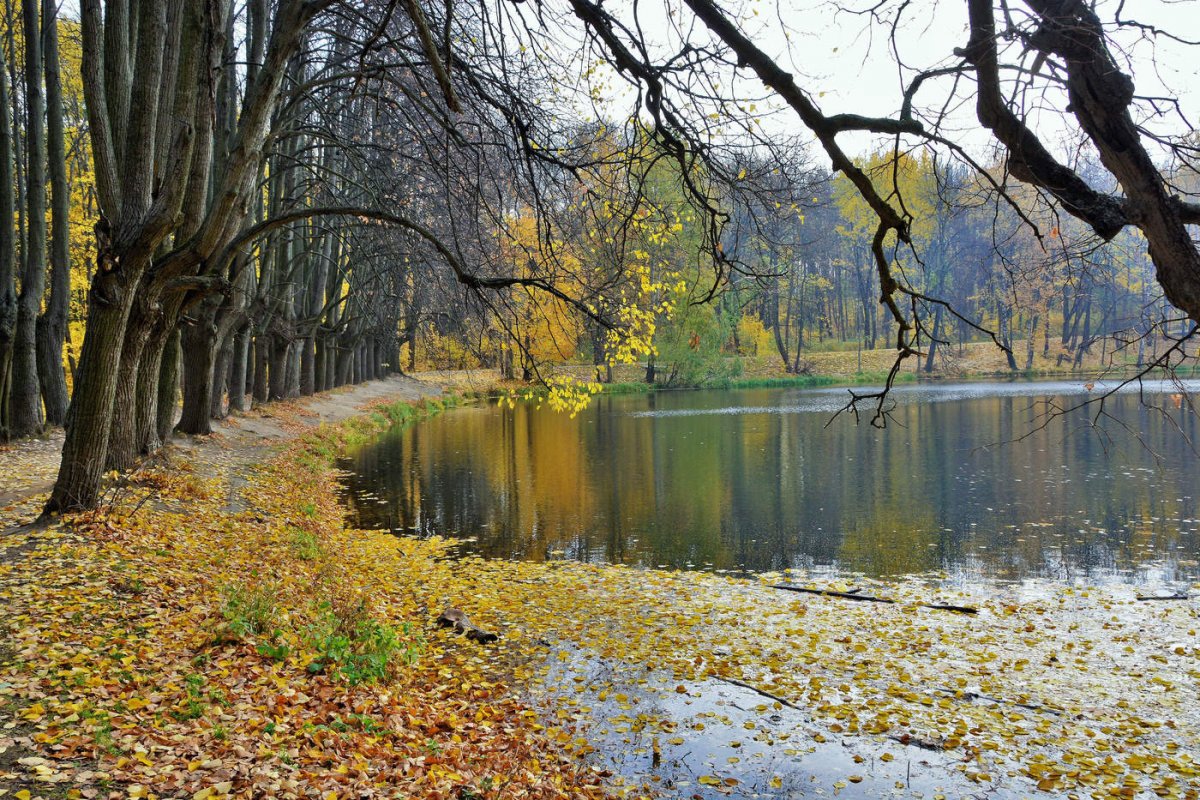 Октябрь природа