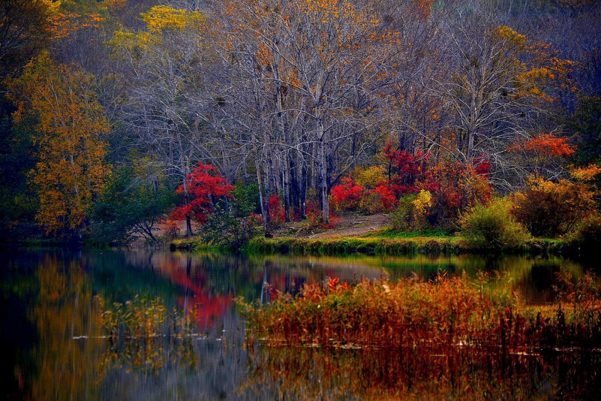 Осень октябрь