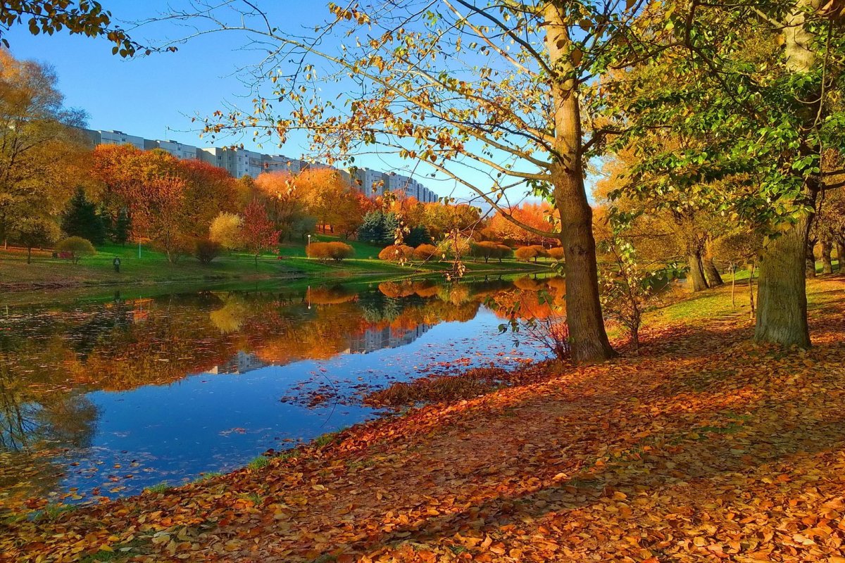 Осень октябрь