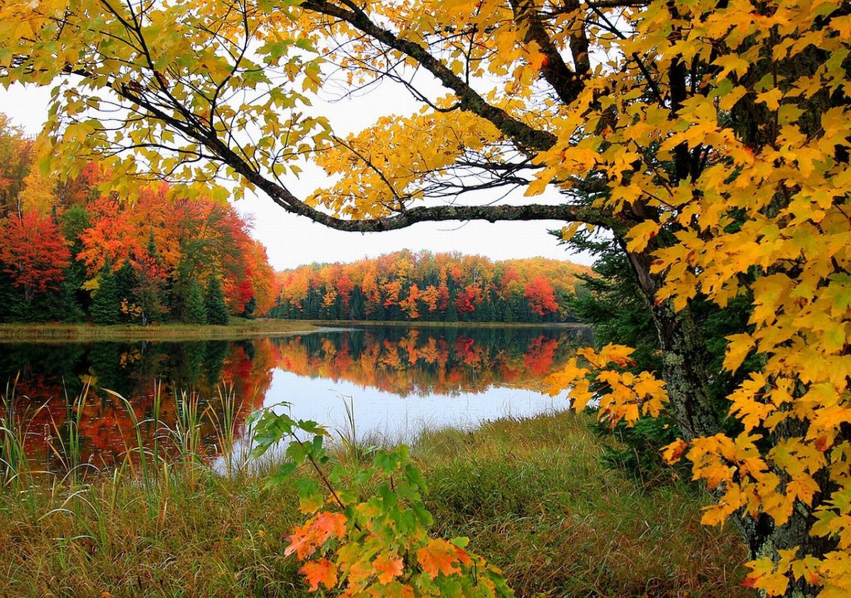 Золотая осень прекрасная пора