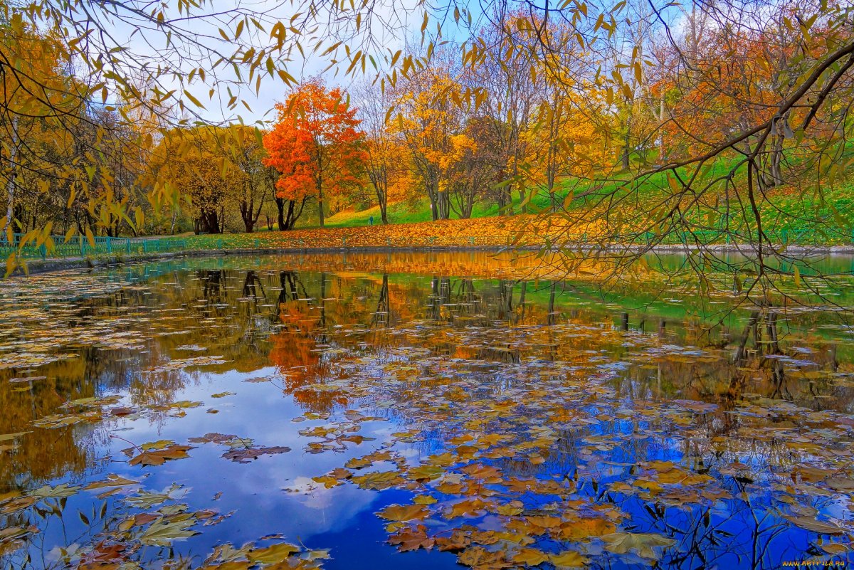 Осенний пейзаж листопад
