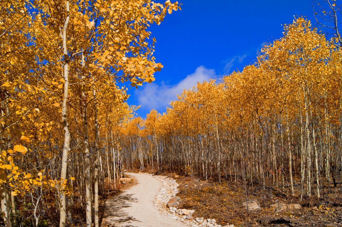 Осень октябрь