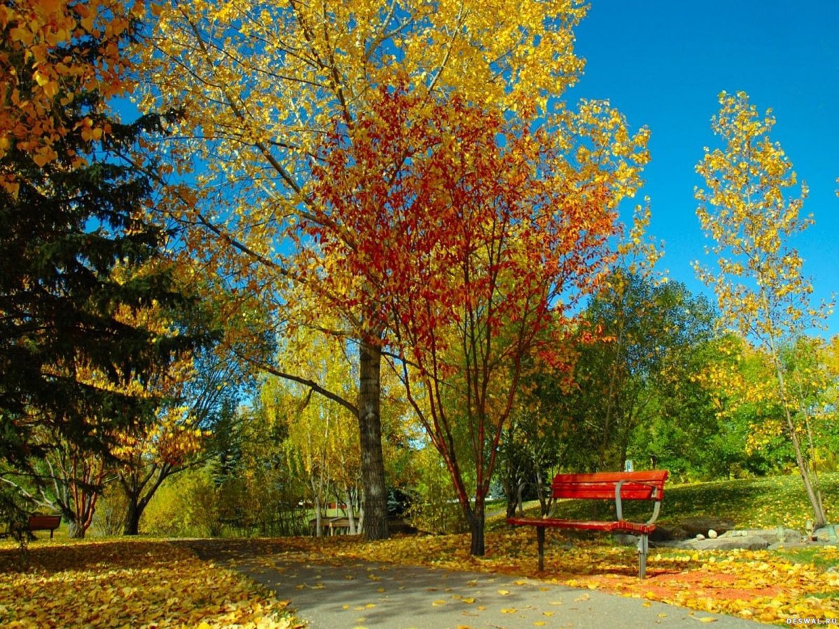 Ранняя осень сентябрь