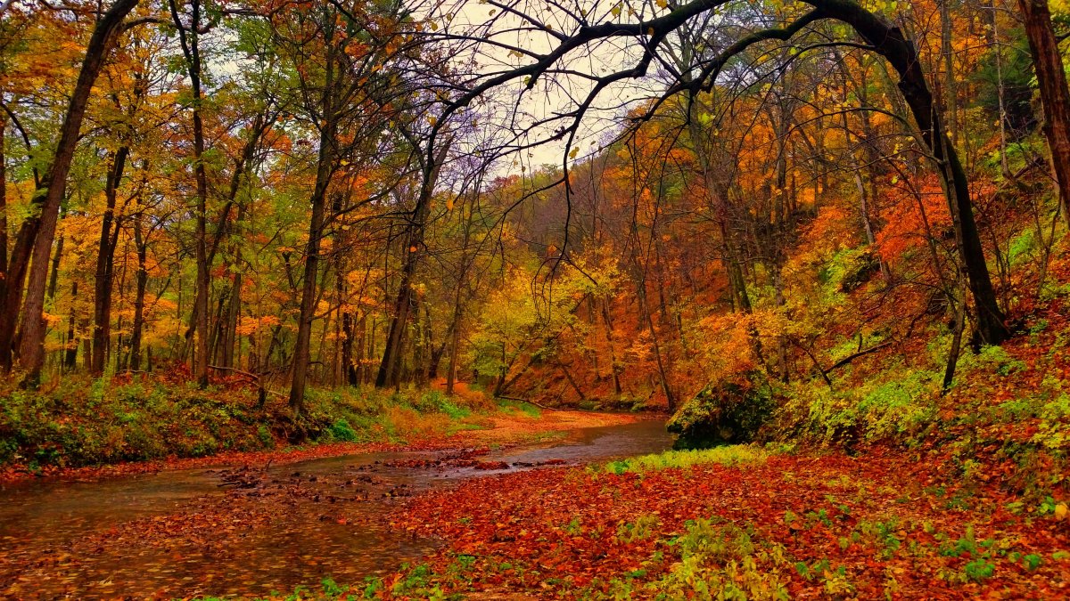 Штат Вермонт природа