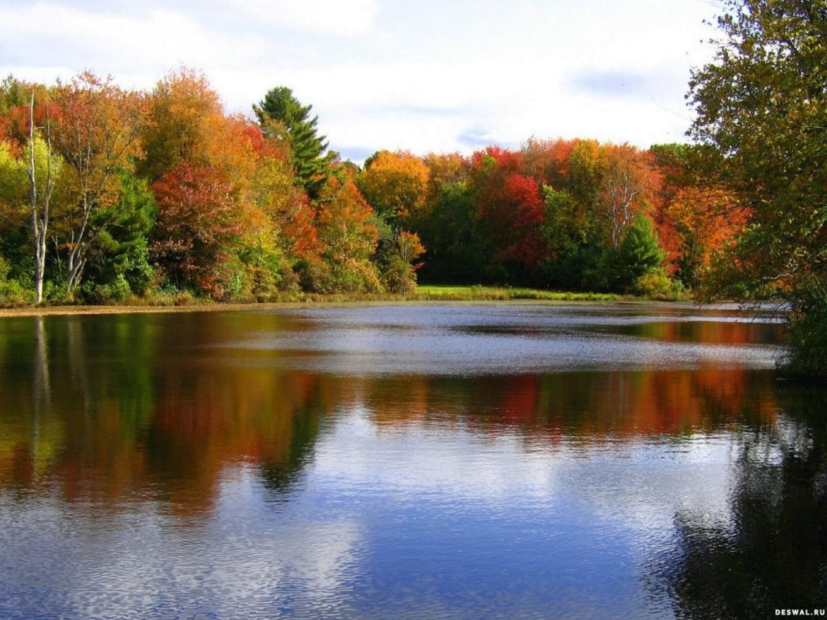 Октябрь река