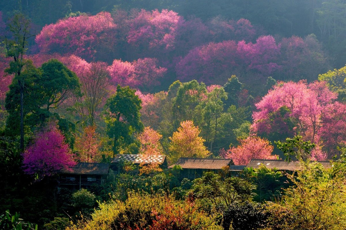 Природа Японии