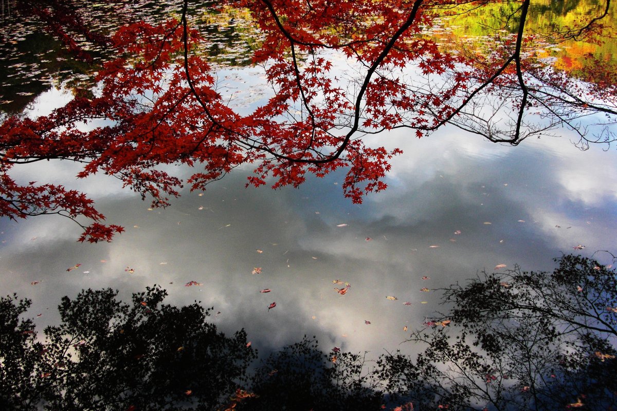 Осень в Японии