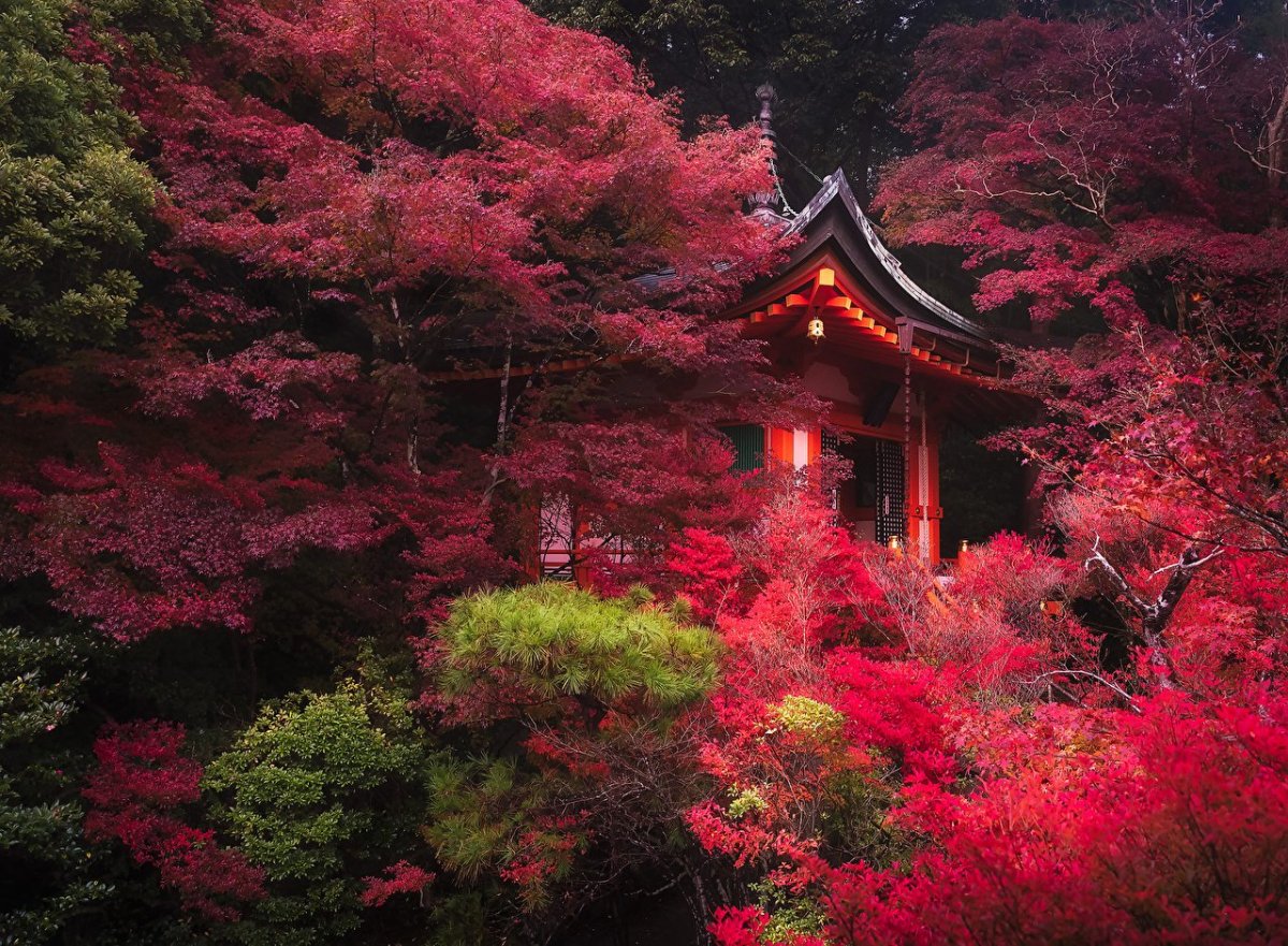 Парк Киото Япония