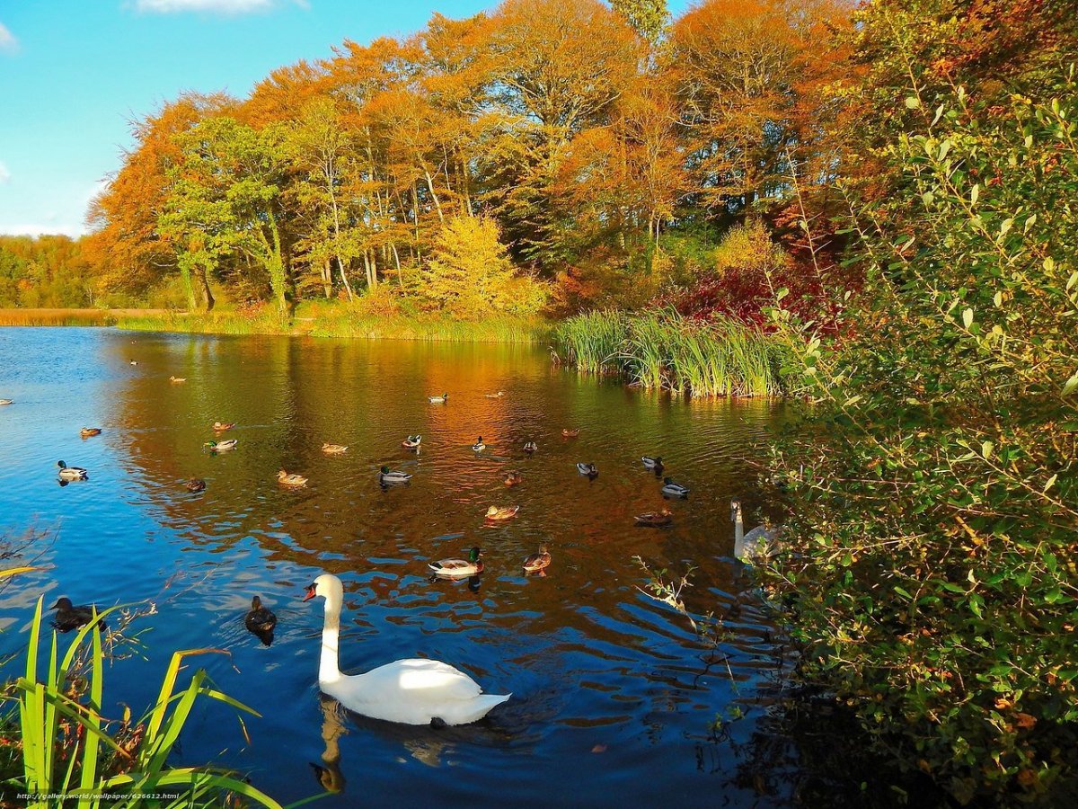 Фотосессия осенью на природе с ребенком