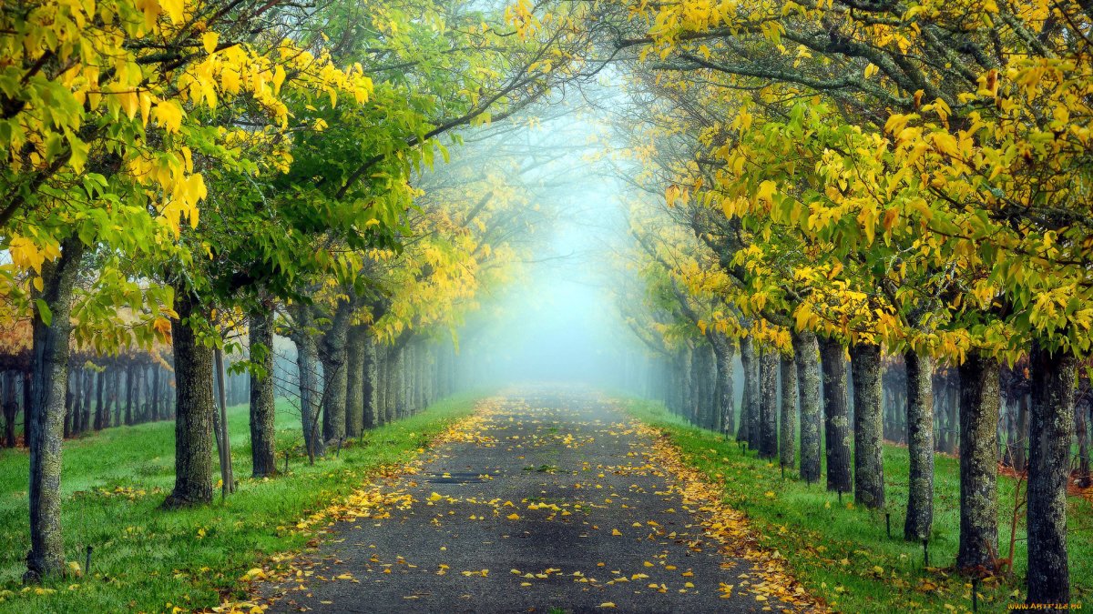 Краски осени сентябрь