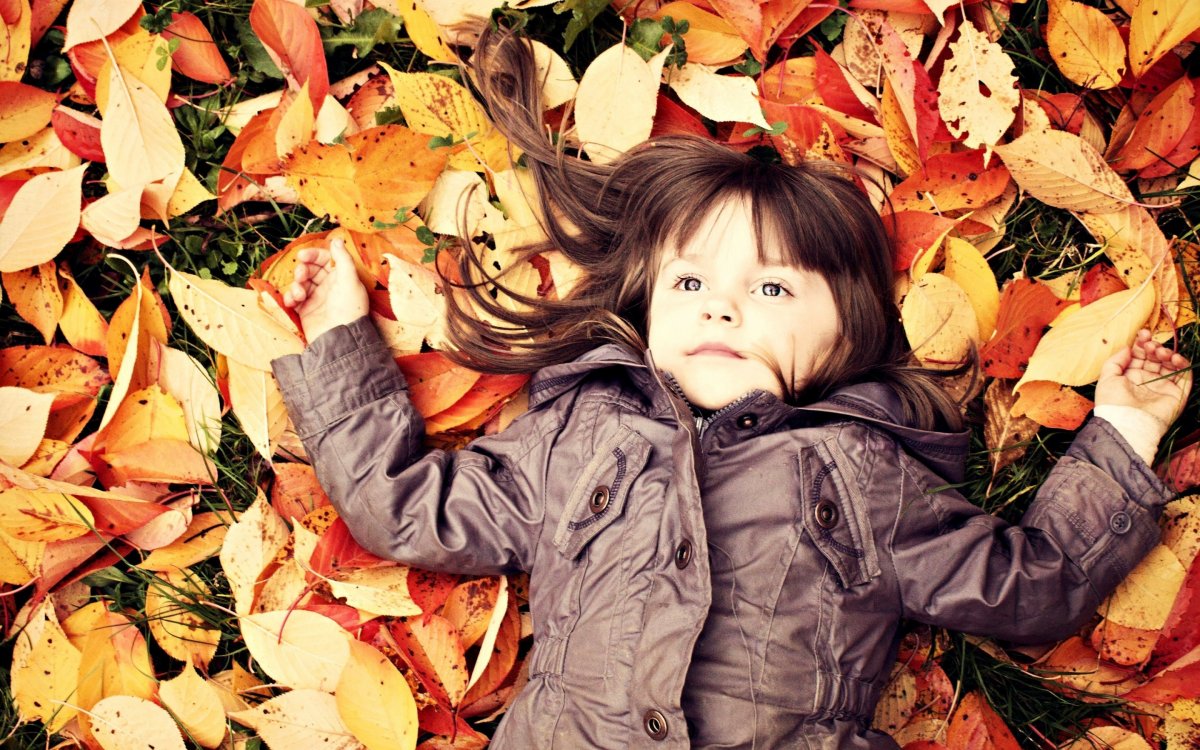 Пейзаж осени