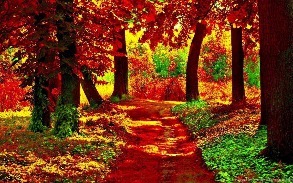 Осенний пейзаж