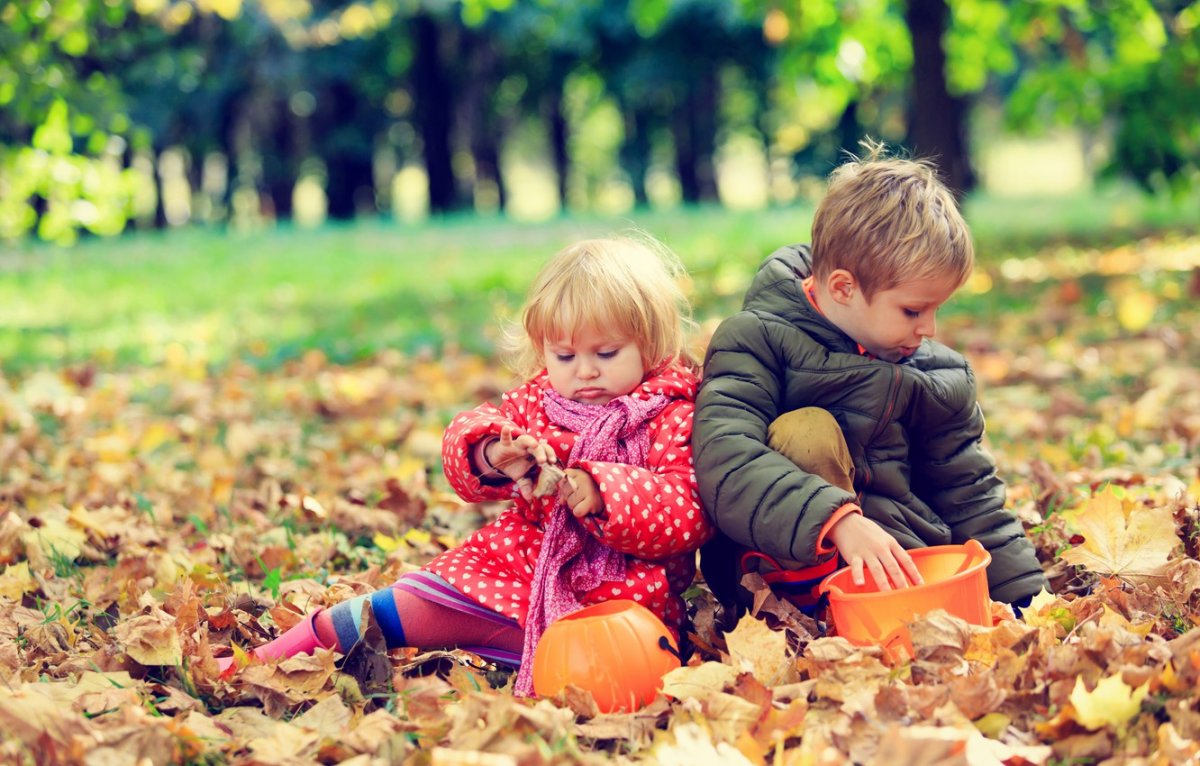 Осень для детей