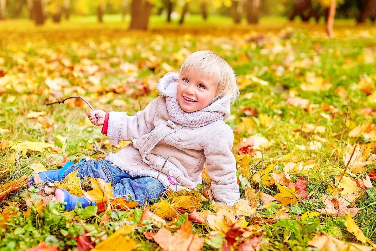Осень для детей
