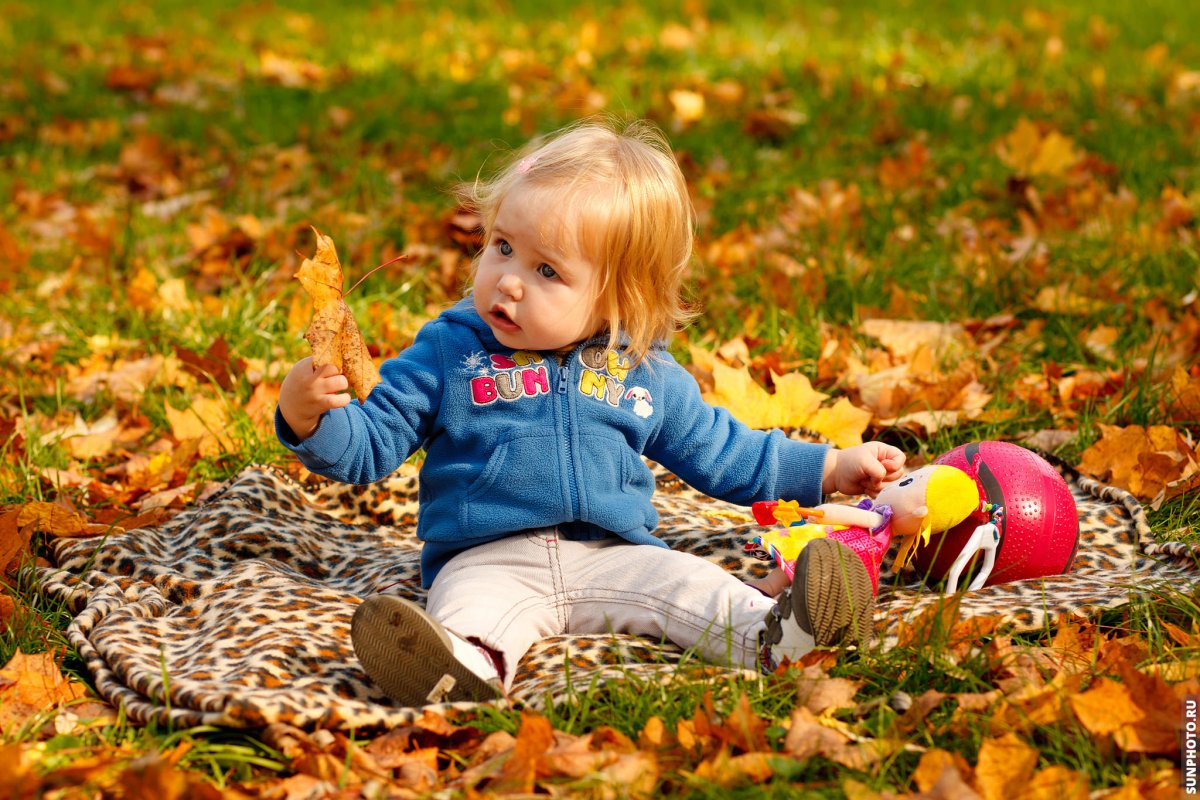 Ранняя осень пейзаж