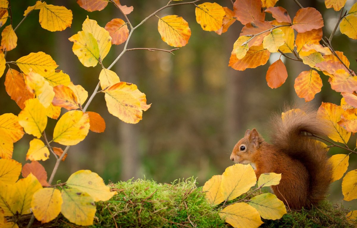Крутая осень дети