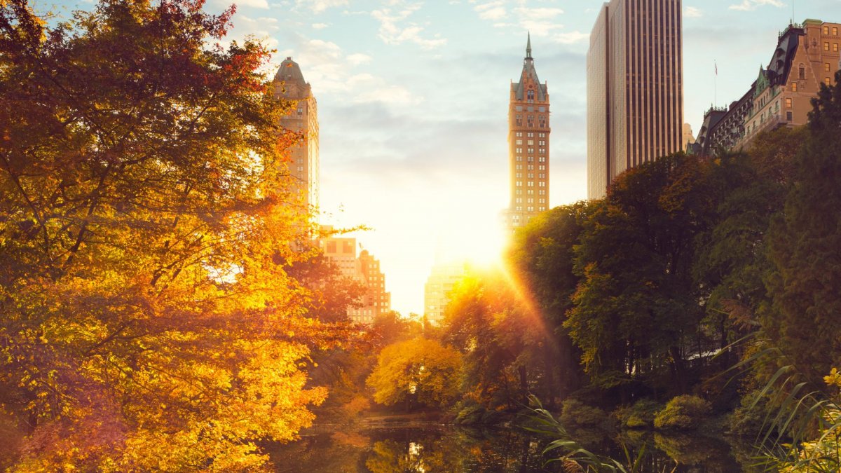 Природа штата Нью Йорк