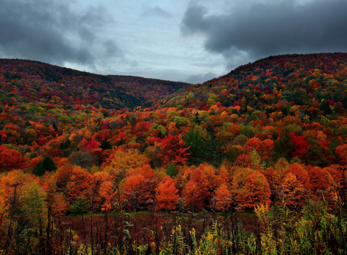 Америка осень штат Кентукки
