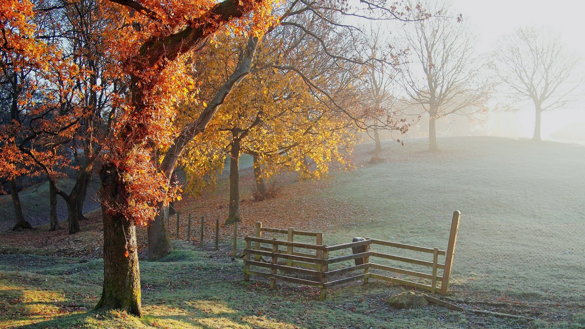 Атмосферная осень