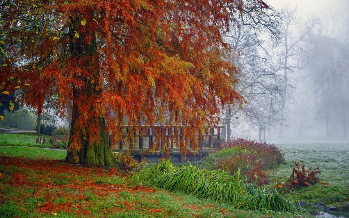 Осень в Санкт-Петербурге