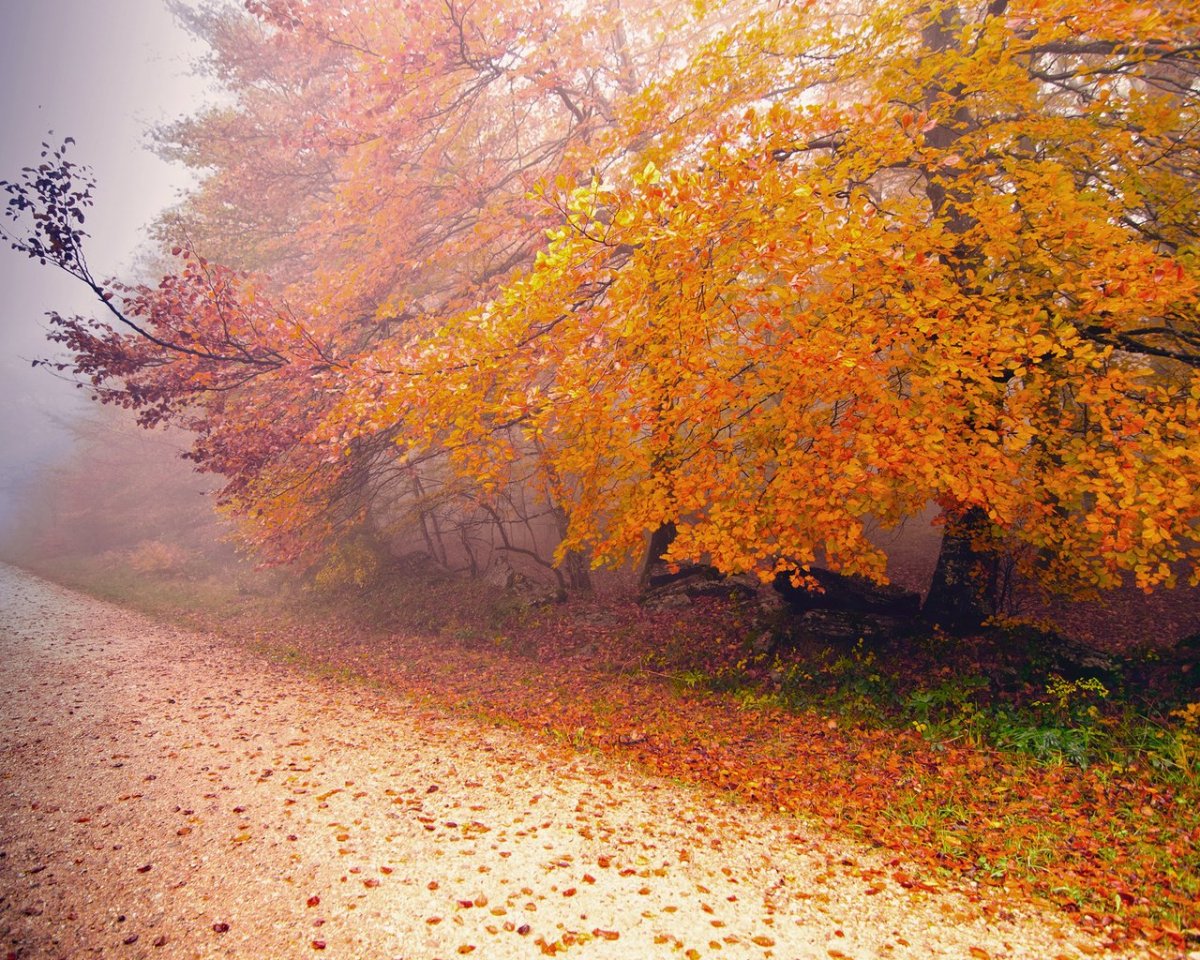 Дождь осенью