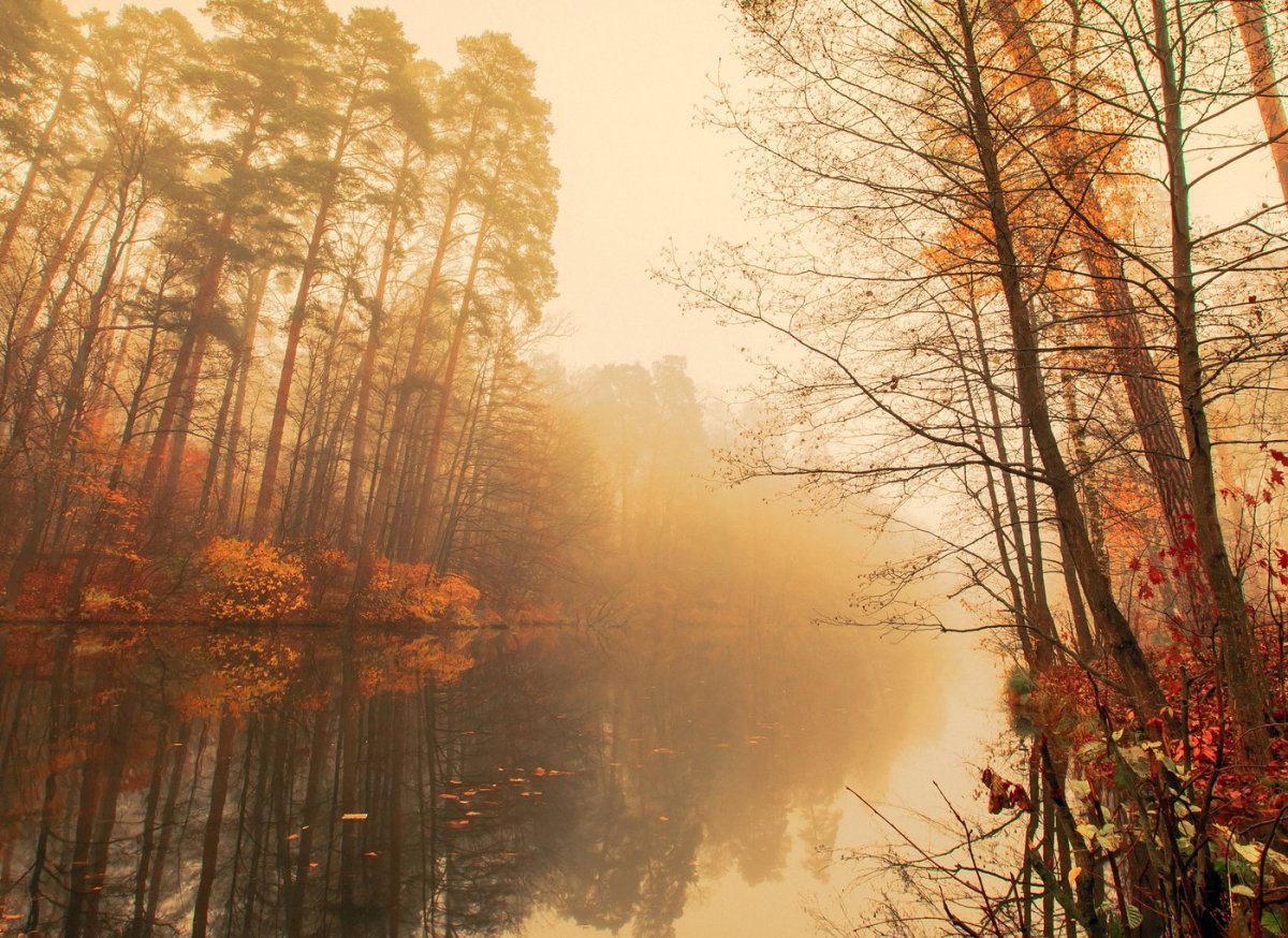 Грустная осень