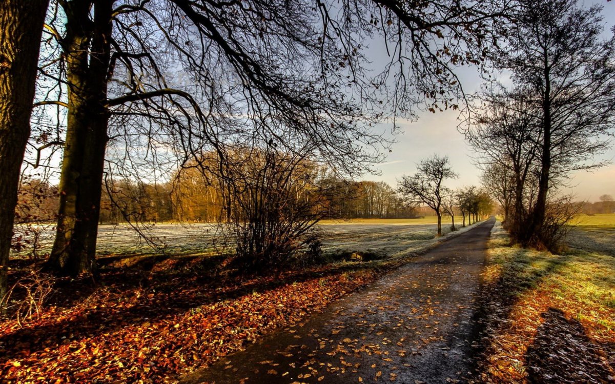 Поздняя осень