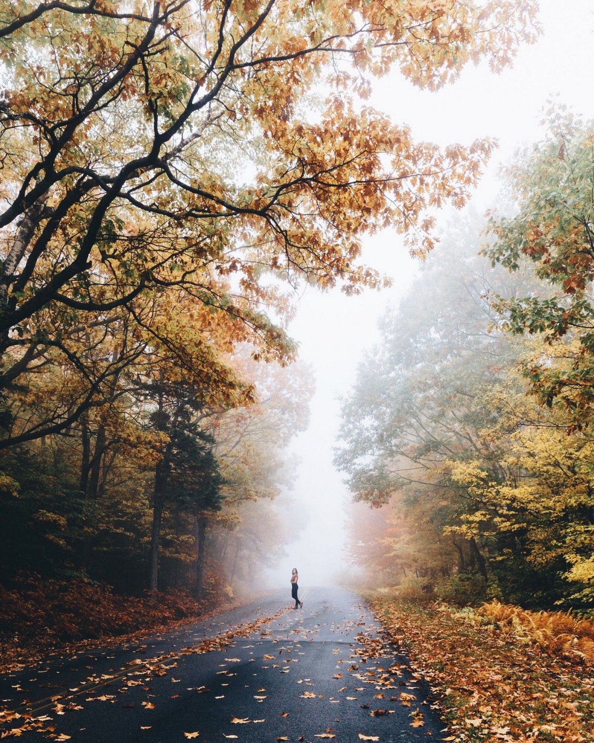 Осенний морозец