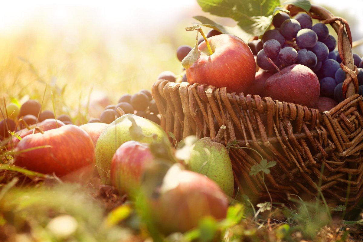 Красивый урожай