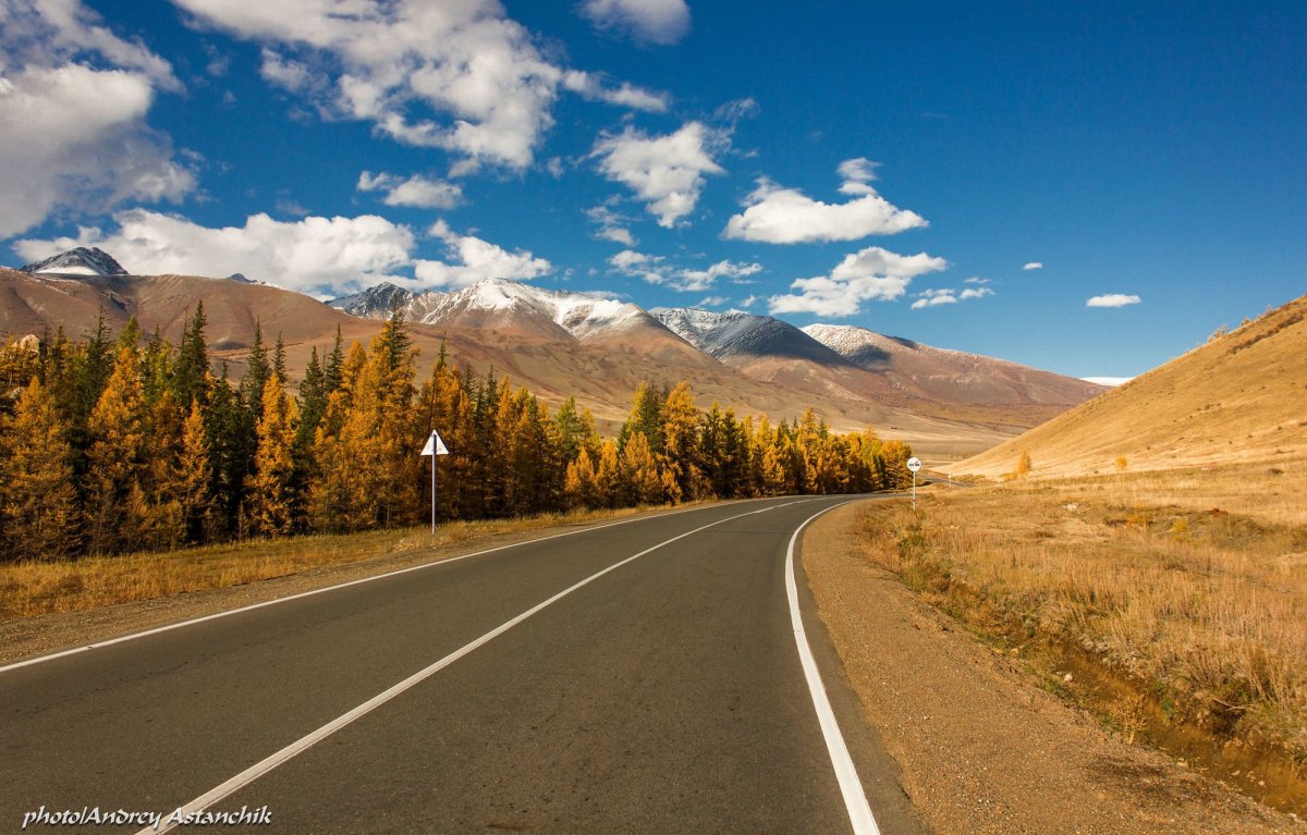 Горный Алтай Чуйский тр