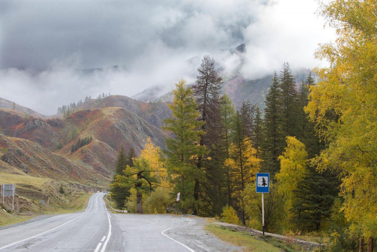 Горно Алтайск осень