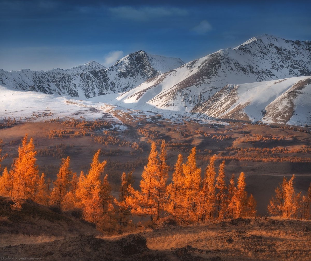 Золотые горы Алтая Алтайские горы