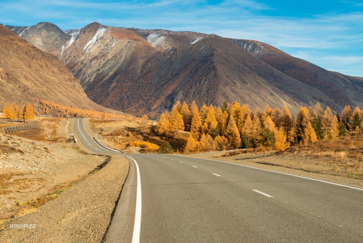 Алтайский край река Чуя