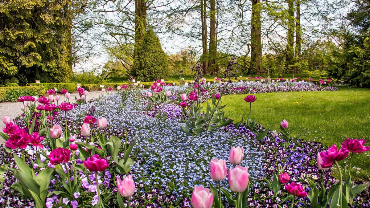 Флауэрс Гарден парк