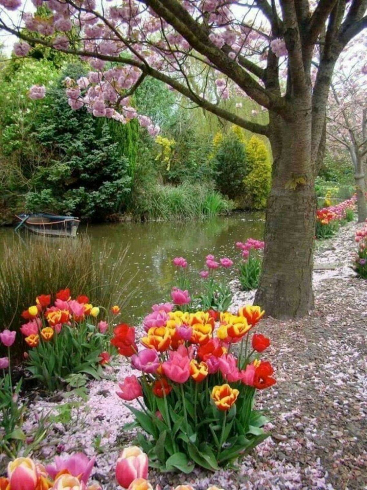 Весна природа