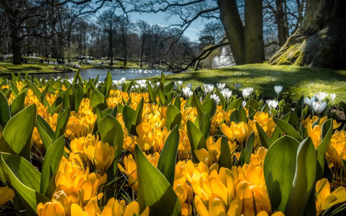 Ранняя Весна в парках Европы