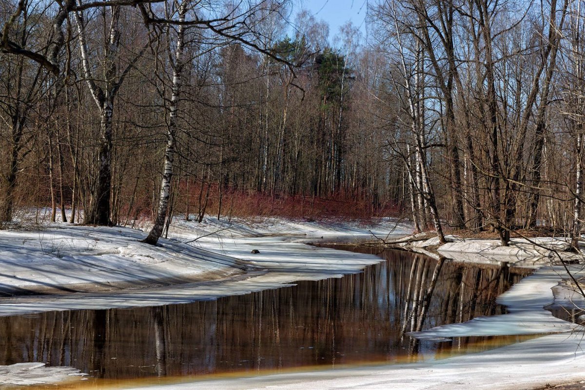 Красивые пейзажи ранней весны