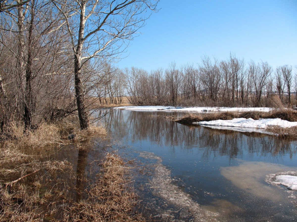 Природа Весна апрель