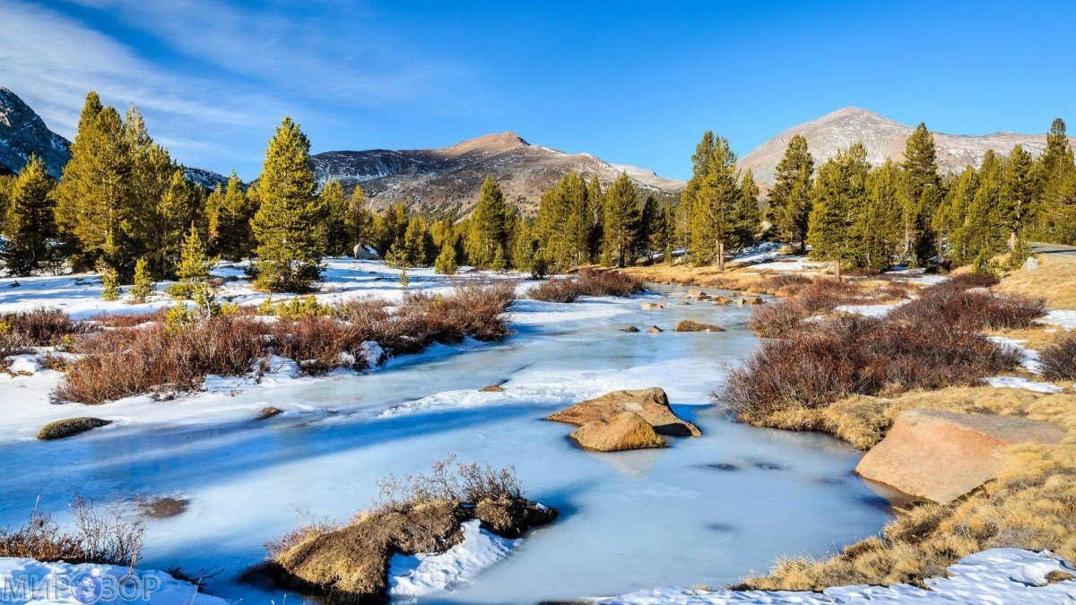 Весенние ручьи